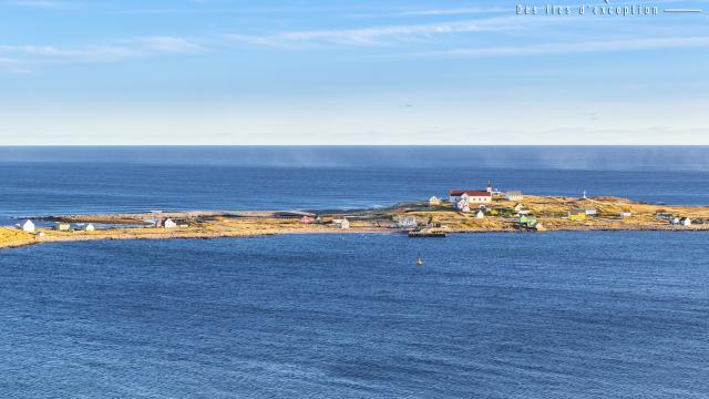 122326182 3460390050694723 8243135643136839348 N