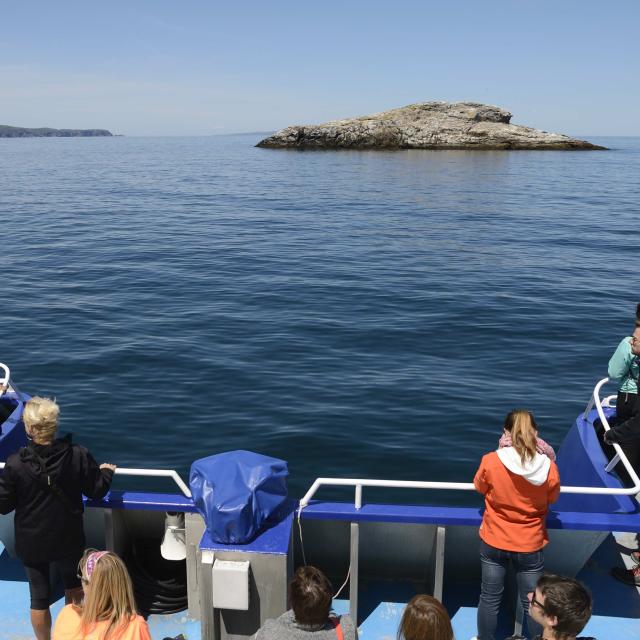 Excursion en mer, à bord du bateau Jeune France, proposée par la Régie des Transports Maritimes, tour à proximité du Grand Colombier et du Cap Perçé à Langlade, le 13 juillet 2016