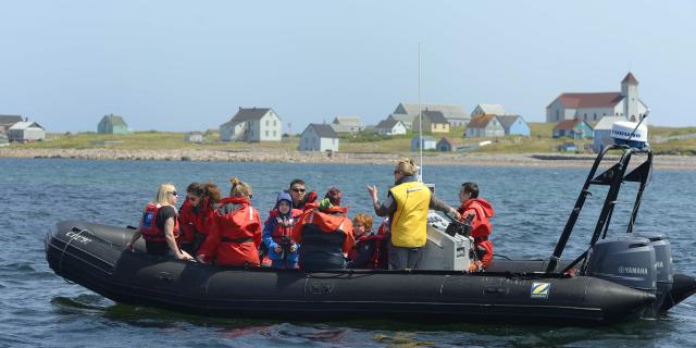 Tour Découverte du milieu marin