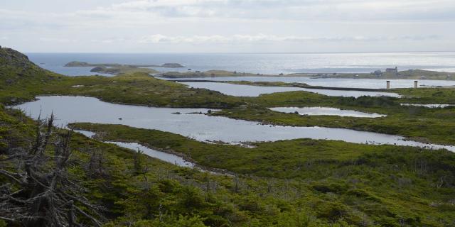 ECOBALADE-VALLEE-DES-7-ETANGS-30.jpg